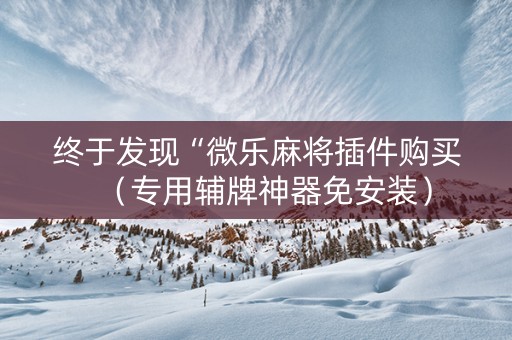 终于发现“微乐麻将插件购买（专用辅牌神器免安装）