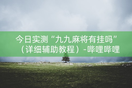 今日实测“九九麻将有挂吗”（详细辅助教程）-哔哩哔哩