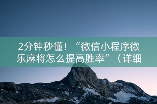 2分钟秒懂！“微信小程序微乐麻将怎么提高胜率”（详细透视教程）-哔哩哔哩