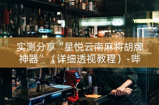 实测分享“星悦云南麻将胡牌神器”（详细透视教程）-哔哩哔哩