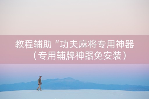 教程辅助“功夫麻将专用神器（专用辅牌神器免安装）