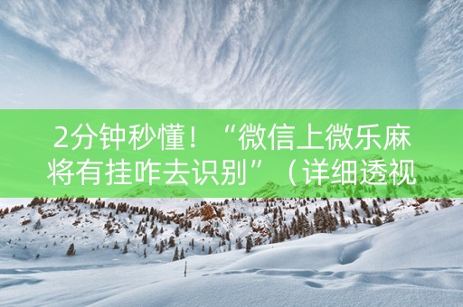 2分钟秒懂！“微信上微乐麻将有挂咋去识别”（详细透视教程）-哔哩哔哩