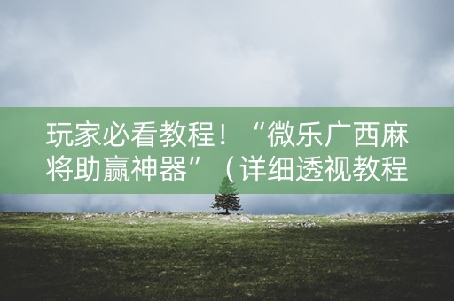 玩家必看教程！“微乐广西麻将助赢神器”（详细透视教程）-哔哩哔哩