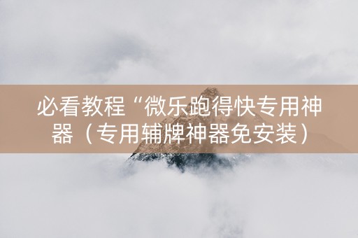 必看教程“微乐跑得快专用神器（专用辅牌神器免安装）