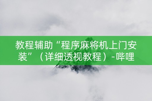 教程辅助“程序麻将机上门安装”（详细透视教程）-哔哩哔哩