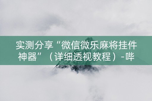 实测分享“微信微乐麻将挂件神器”（详细透视教程）-哔哩哔哩