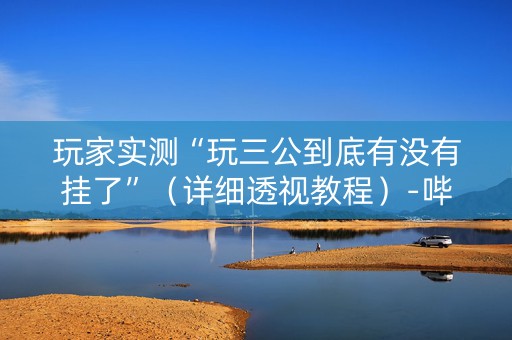 玩家实测“玩三公到底有没有挂了”（详细透视教程）-哔哩哔哩