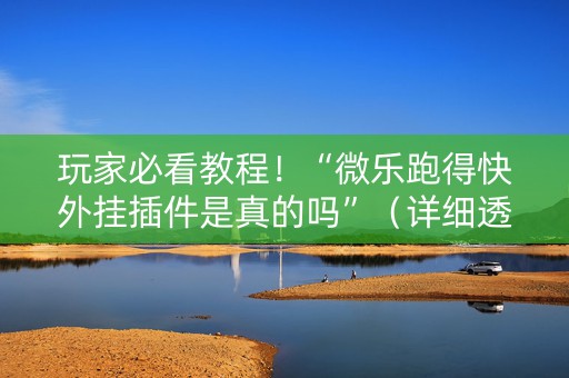 玩家必看教程！“微乐跑得快外挂插件是真的吗”（详细透视教程）-哔哩哔哩
