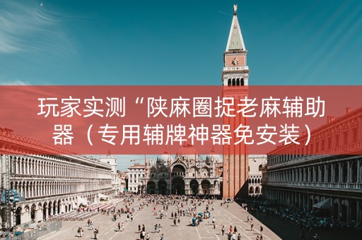 玩家实测“陕麻圈捉老麻辅助器（专用辅牌神器免安装）