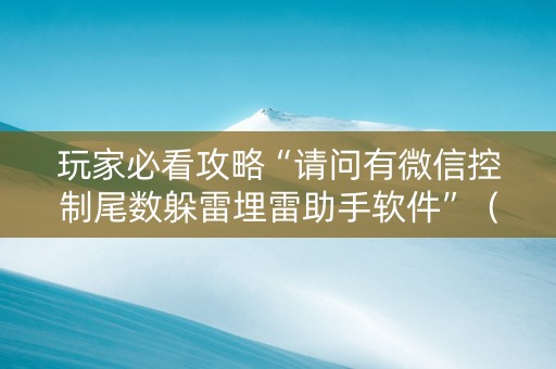 玩家必看攻略“请问有微信控制尾数躲雷埋雷助手软件”（详细透视教程）-哔哩哔哩