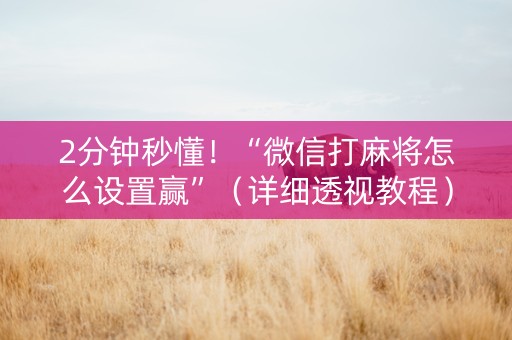 2分钟秒懂！“微信打麻将怎么设置赢”（详细透视教程）-哔哩哔哩