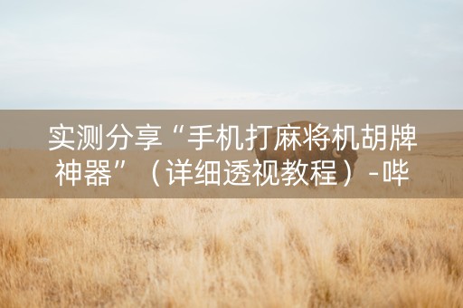实测分享“手机打麻将机胡牌神器”（详细透视教程）-哔哩哔哩