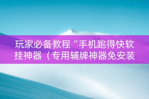 玩家必备教程“手机跑得快软挂神器（专用辅牌神器免安装）