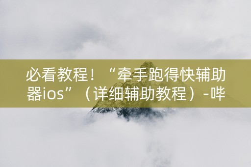 必看教程！“牵手跑得快辅助器ios”（详细辅助教程）-哔哩哔哩