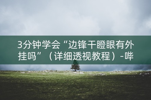 3分钟学会“边锋干瞪眼有外挂吗”（详细透视教程）-哔哩哔哩
