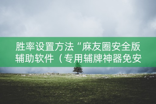 胜率设置方法“麻友圈安全版辅助软件（专用辅牌神器免安装）