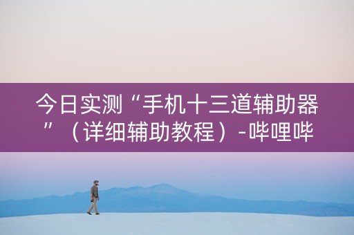 今日实测“手机十三道辅助器”（详细辅助教程）-哔哩哔哩