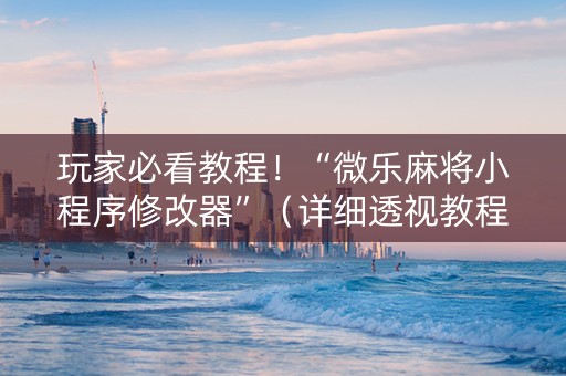 玩家必看教程！“微乐麻将小程序修改器”（详细透视教程）-哔哩哔哩
