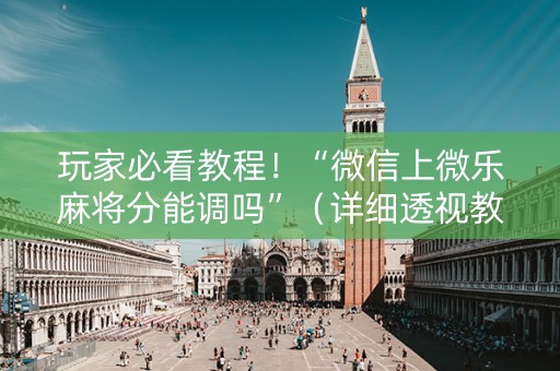 玩家必看教程！“微信上微乐麻将分能调吗”（详细透视教程）-哔哩哔哩