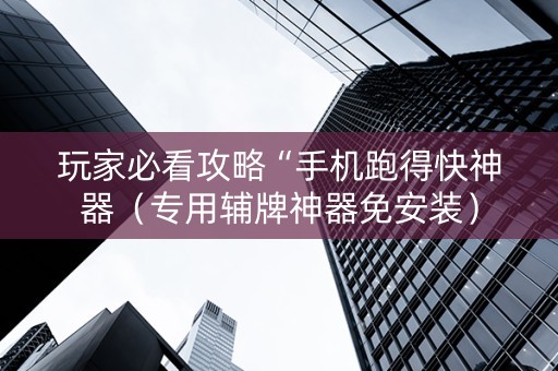 玩家必看攻略“手机跑得快神器（专用辅牌神器免安装）