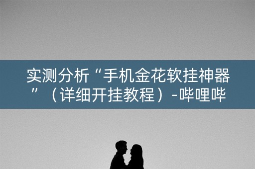 实测分析“手机金花软挂神器”（详细开挂教程）-哔哩哔哩