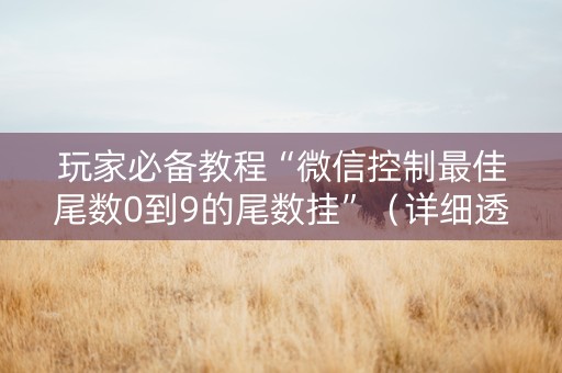 玩家必备教程“微信控制最佳尾数0到9的尾数挂”（详细透视教程）-哔哩哔哩