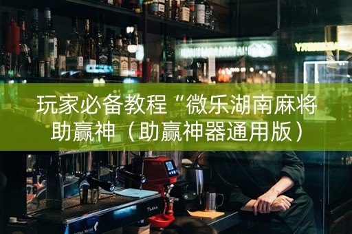 玩家必备教程“微乐湖南麻将助赢神（助赢神器通用版）