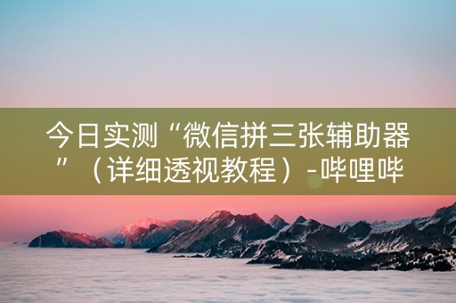 今日实测“微信拼三张辅助器”（详细透视教程）-哔哩哔哩
