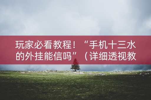 玩家必看教程！“手机十三水的外挂能信吗”（详细透视教程）-哔哩哔哩