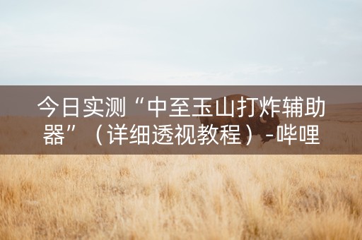 今日实测“中至玉山打炸辅助器”（详细透视教程）-哔哩哔哩