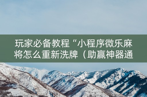 玩家必备教程“小程序微乐麻将怎么重新洗牌（助赢神器通用版）