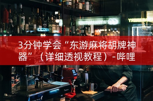 3分钟学会“东游麻将胡牌神器”（详细透视教程）-哔哩哔哩