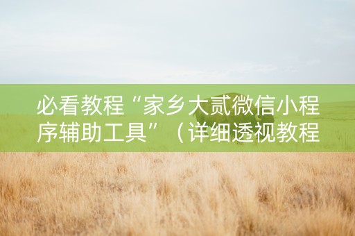 必看教程“家乡大贰微信小程序辅助工具”（详细透视教程）-哔哩哔哩