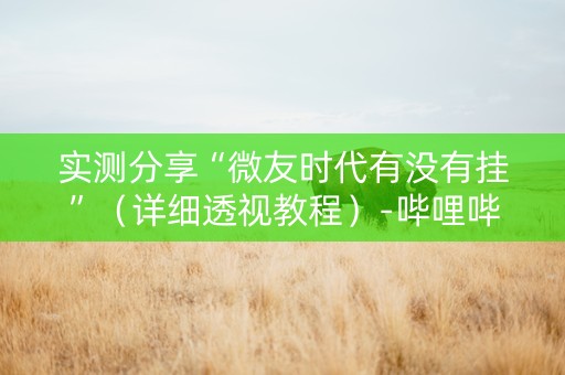 实测分享“微友时代有没有挂”（详细透视教程）-哔哩哔哩