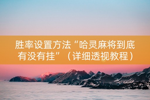 胜率设置方法“哈灵麻将到底有没有挂”（详细透视教程）-哔哩哔哩