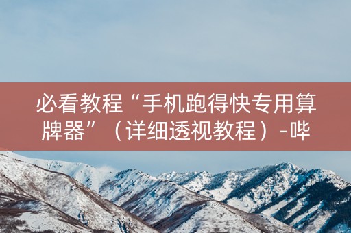 必看教程“手机跑得快专用算牌器”（详细透视教程）-哔哩哔哩
