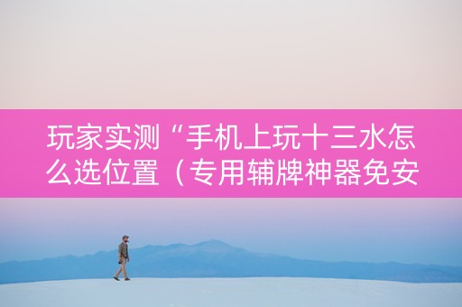 玩家实测“手机上玩十三水怎么选位置（专用辅牌神器免安装）