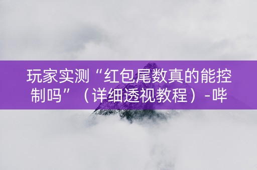 玩家实测“红包尾数真的能控制吗”（详细透视教程）-哔哩哔哩
