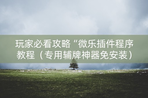 玩家必看攻略“微乐插件程序教程（专用辅牌神器免安装）