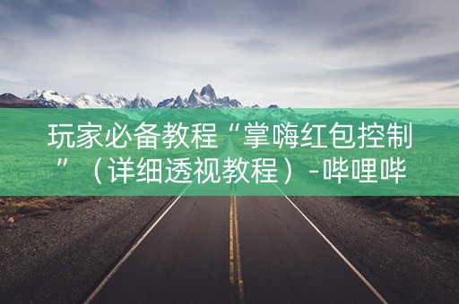 玩家必备教程“掌嗨红包控制”（详细透视教程）-哔哩哔哩