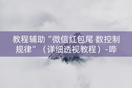 教程辅助“微信红包尾 数控制规律”（详细透视教程）-哔哩哔哩