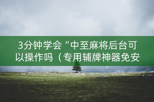 3分钟学会“中至麻将后台可以操作吗（专用辅牌神器免安装）