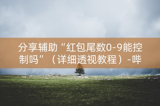 分享辅助“红包尾数0-9能控制吗”（详细透视教程）-哔哩哔哩