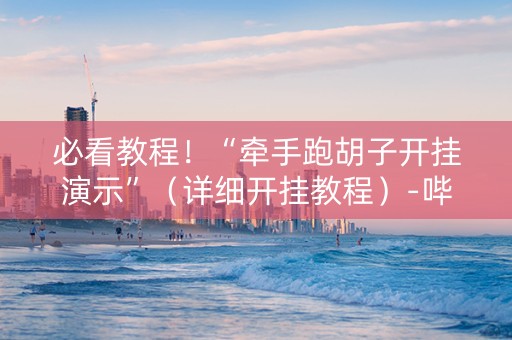 必看教程！“牵手跑胡子开挂演示”（详细开挂教程）-哔哩哔哩