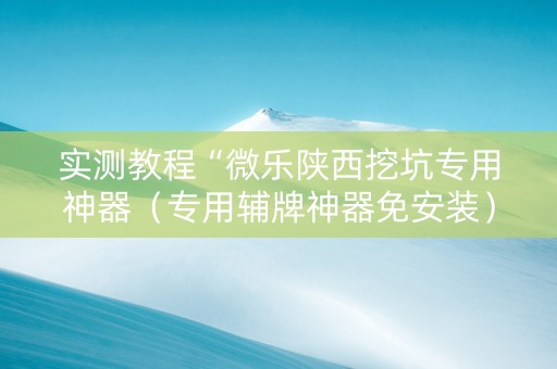 实测教程“微乐陕西挖坑专用神器（专用辅牌神器免安装）