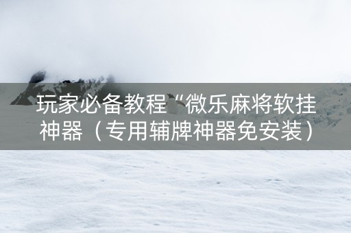 玩家必备教程“微乐麻将软挂神器（专用辅牌神器免安装）