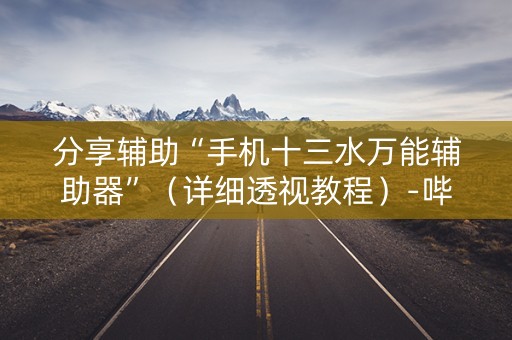 分享辅助“手机十三水万能辅助器”（详细透视教程）-哔哩哔哩