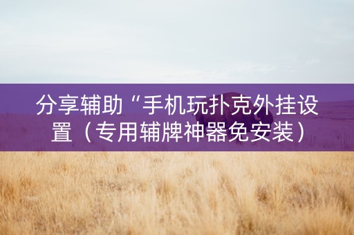 分享辅助“手机玩扑克外挂设置（专用辅牌神器免安装）