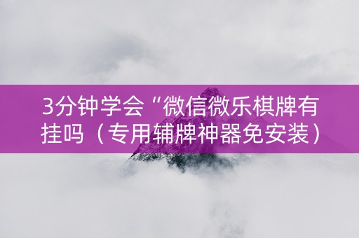 3分钟学会“微信微乐棋牌有挂吗（专用辅牌神器免安装）