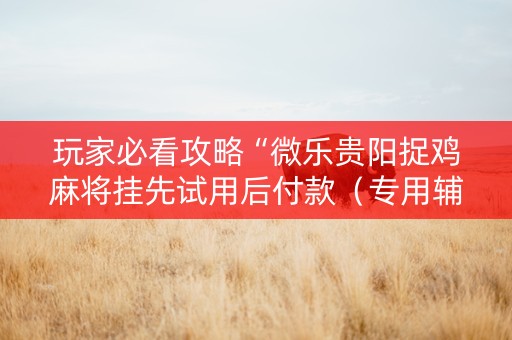 玩家必看攻略“微乐贵阳捉鸡麻将挂先试用后付款（专用辅牌神器免安装）